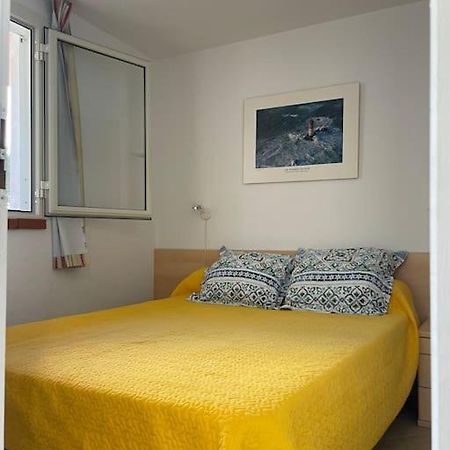 Appart. / Clim / Piscine / Mer A 300M Apartment Linguizzetta Exterior foto